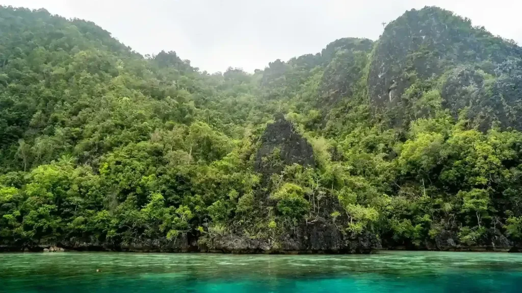 To Misool by Bali Komodo: The Wild South