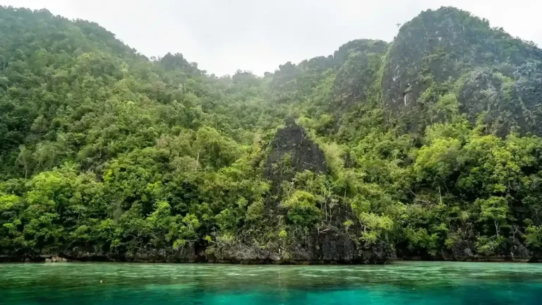 To Misool by Bali Komodo: The Wild South